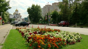 Пешеходную зону в День города отдадут детям
