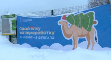 В Реутове стартовала экоакция &laquo;Сдай елку на переработку&raquo;