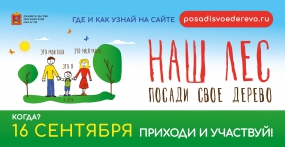 Как выбирают площадки для посадки деревьев акции &laquo;Наш лес. Посади свое дерево&raquo;