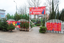 В Реутове открылись ёлочные базары