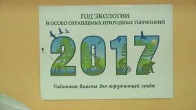 &laquo;Бумажный&raquo; день в Реутове: школьники сдали несколько тонн макулатуры