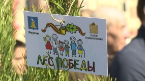 "Лес Победы" высадили в Реутове