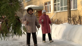 В какие кружки пенсионеры могут записаться в Реутове?