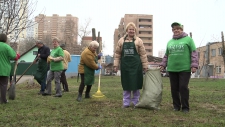 ПЯТЬ ТЫСЯЧ ЧЕЛОВЕК ПРИНЯЛИ УЧАСТИЕ В ГОРОДСКОМ СУББОТНИКЕ
