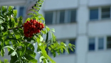 Летняя осень