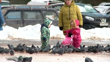 Аномальные холода продержатся в Подмосковье до 5 марта