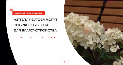 Жители Реутова могут выбрать объекты для благоустройства