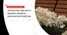 Жители Реутова могут выбрать объекты для благоустройства