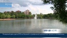 Свадебный мост